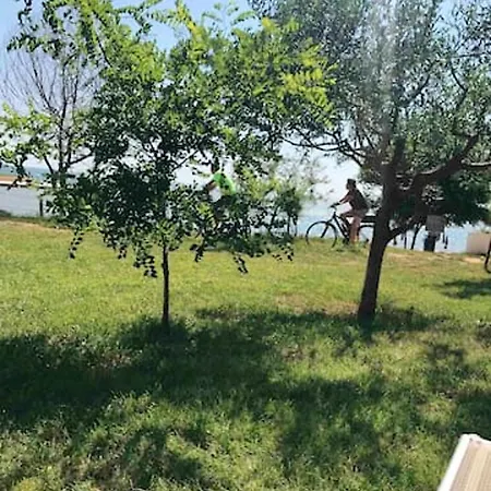 Modern In 90 M² Zambratija (Istria)