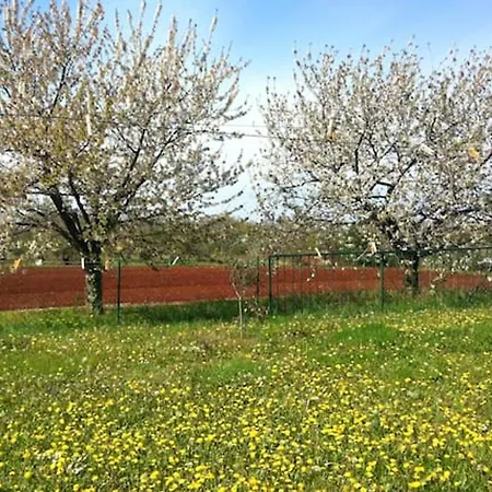 Apartment Modern In 90 M² Zambratija (Istria)